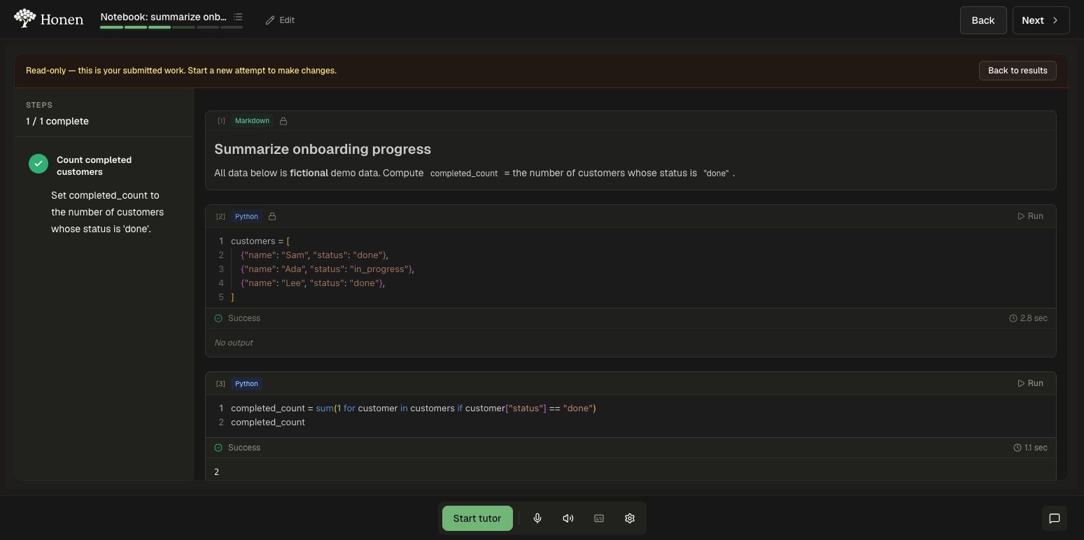 Submitted read-only notebook showing successful Python execution and output 2