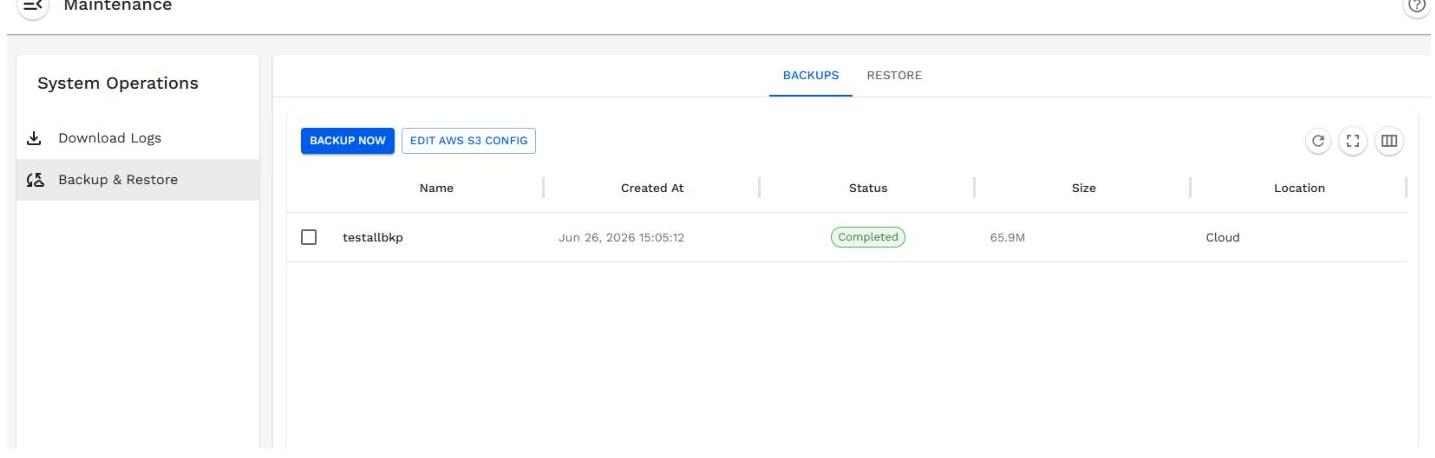 A screenshot of a software maintenance interface showing a list of system backups and a backup now button. This could be useful for illustrating software administration, data management, or cloud backup procedures.