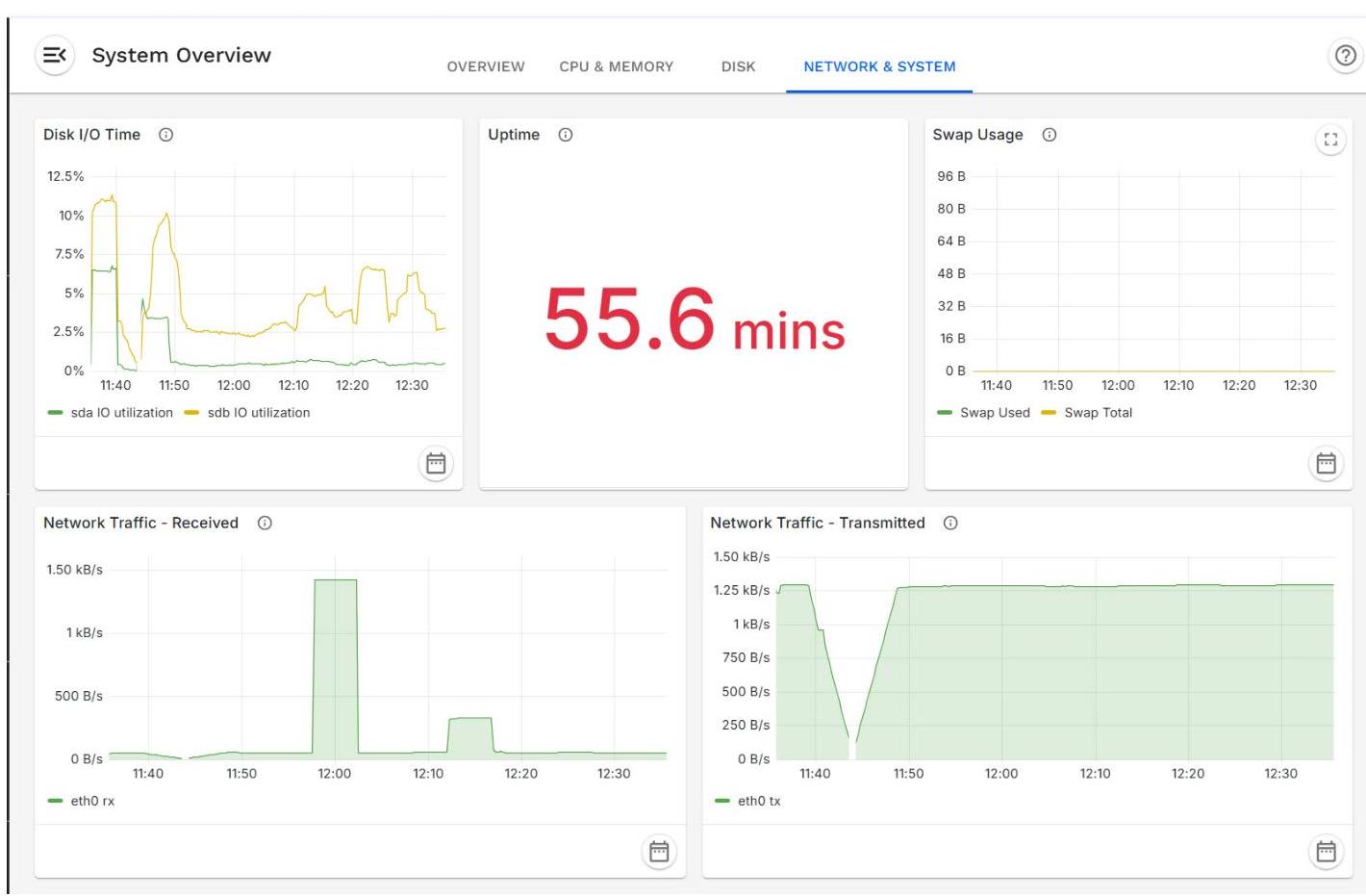 A system overview dashboard displaying real-time performance metrics including disk I/O, uptime, swap usage, and network traffic.