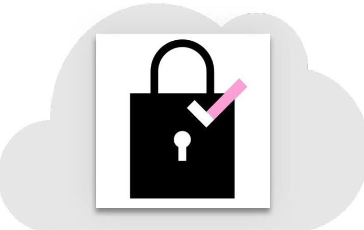 A black padlock with a pink checkmark icon centered inside a light gray cloud. This could illustrate topics such as cloud security, data encryption, or verified file transfers.