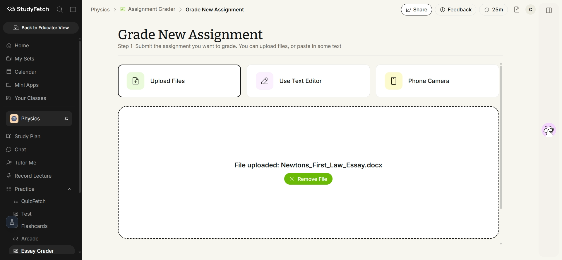The Grade New Assignment page after a file is uploaded. The drop area is replaced by a File uploaded confirmation showing the uploaded file's name, with a Remove File button below it.
