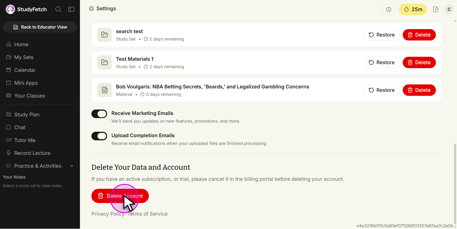 The Privacy & Data tab of the Settings page, showing the Delete Your Data and Account section and its Delete Account button.