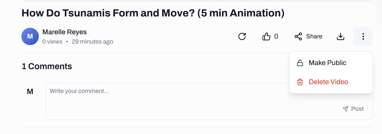 The header of the video How Do Tsunamis Form and Move? (5 min Animation) by Marelle Reyes, 0 views, 29 minutes ago. The menu opened from the three dot button at the right lists two items, Make Public and Delete Video. Below sit the 1 Comments heading and an empty Write your comment... box with a Post button.